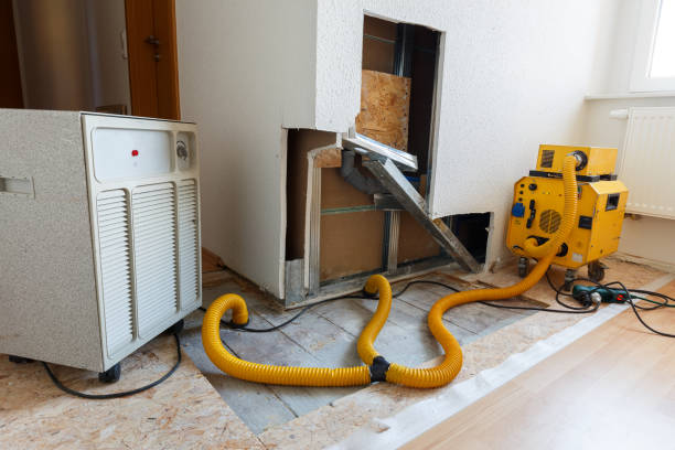 Best Mold Removal for HVAC Installations  in Latham, NY